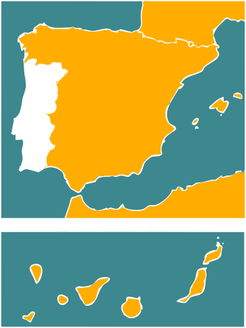 Cuando se ven los vencejos en España