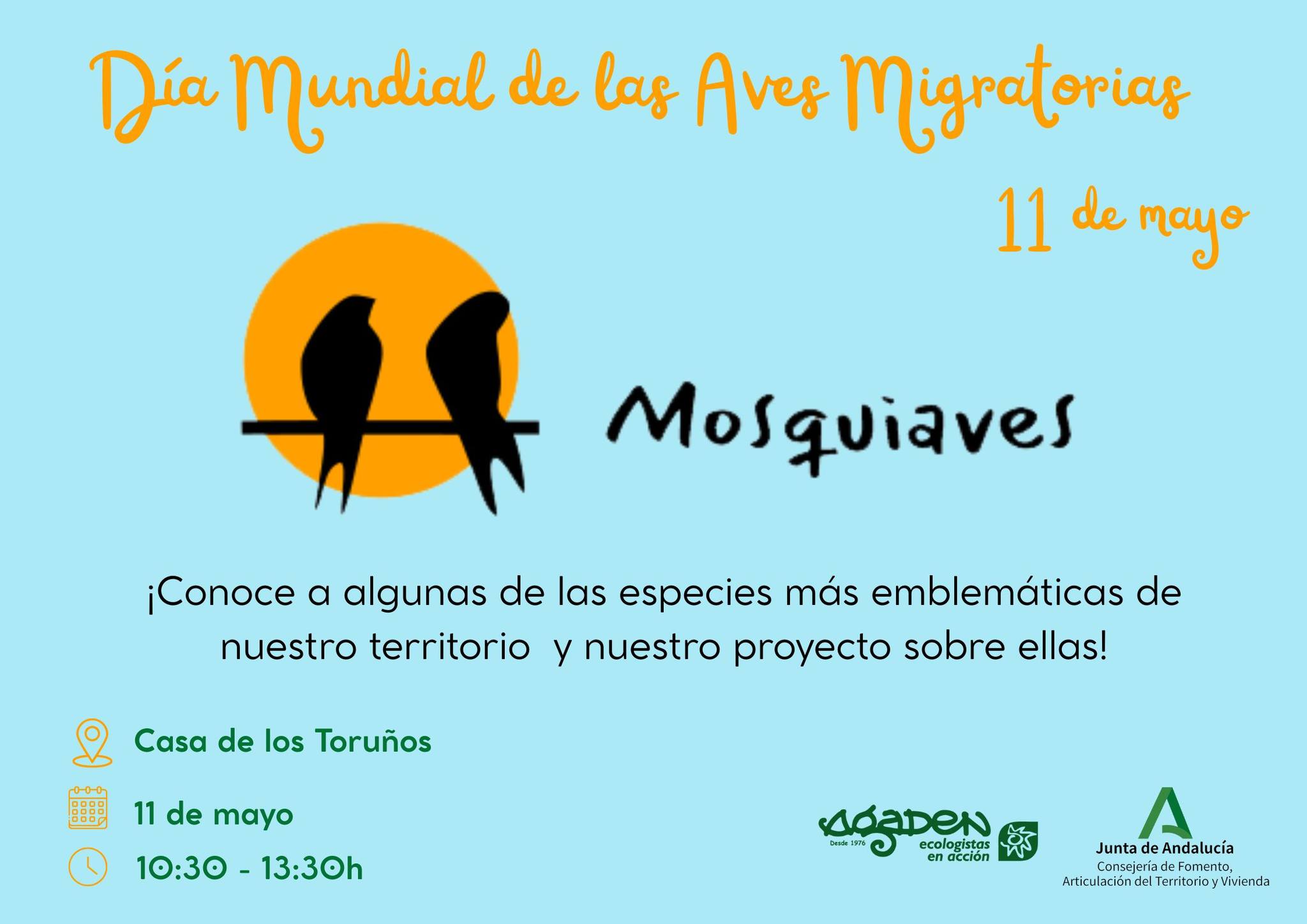 Mosquiaves en el Día mundial de las aves migratorias